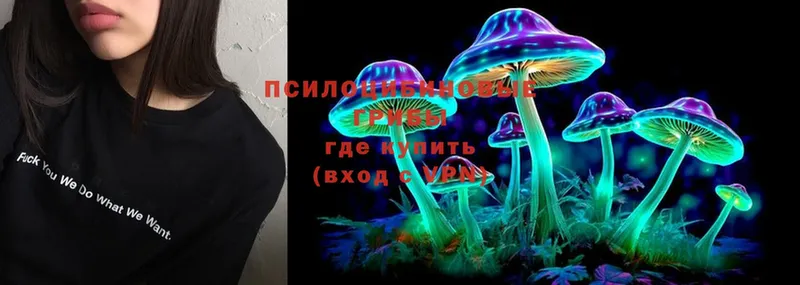 Псилоцибиновые грибы Psilocybe  Раменское 